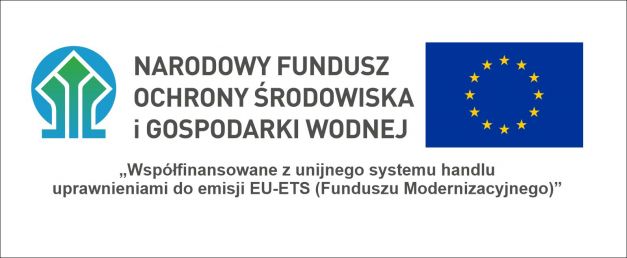 Wyniki postępowania - Budowa magazynu energii wraz z infrastrukturą towarzyszącą w miejscowości Radziechów